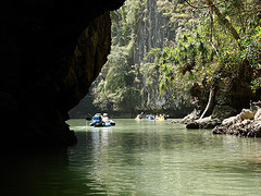 Phang Nga Bay Canoeing Kayaking Tours photo featuring mangrove forest and caves