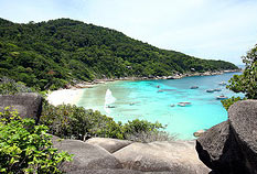Similan Island Speedboat Day Tours Trips with tropical fishes around