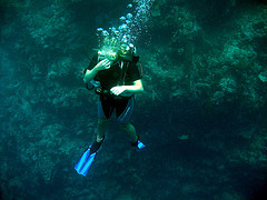 Phi Phi Islands Diving