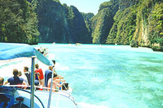 Private charter Phi Phi Island with clear water and fishes