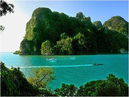 Picture of longtail boat and trees during Phang Nga Bay speedboat tours