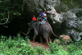 Elephant trekking in Khao Sok
