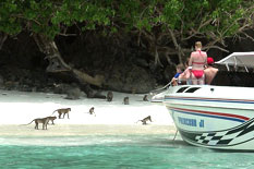 Phi Phi Island speedboat tours with monket beach and nguests feeding monkeys from boats