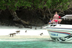 Koh Phi Phi Island By Speedboat Trip