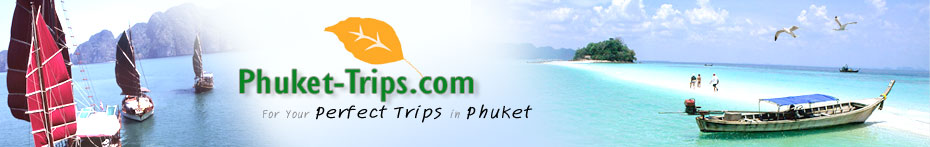 Phuket Travel and Tours with Seaview