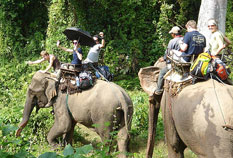 Phuket elephant trekking Tours on our friendly giants